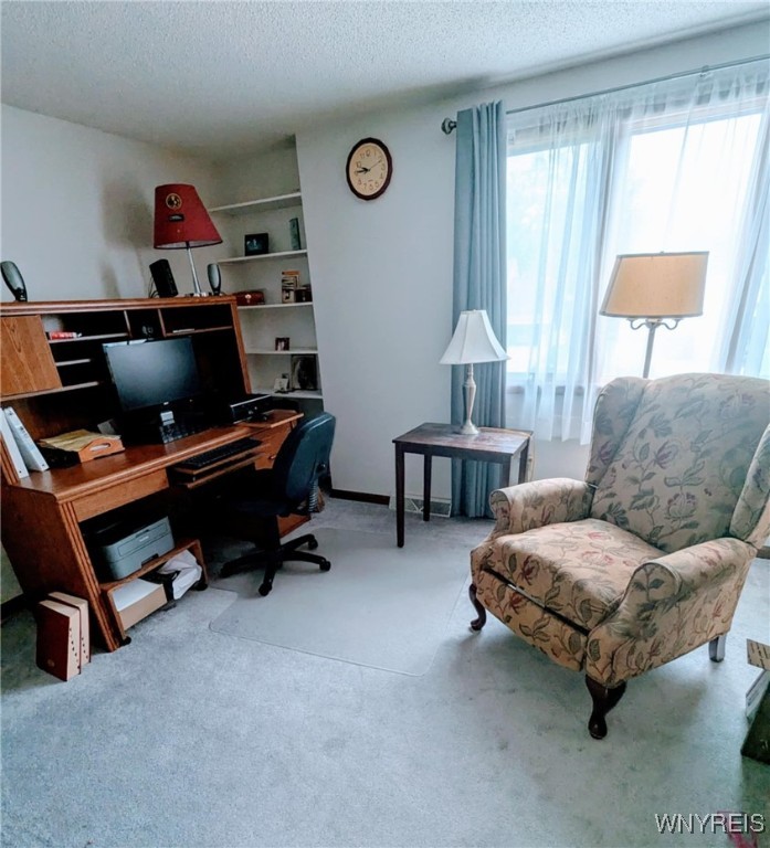 589 Briarwood Lane, Lewiston, New York image 22