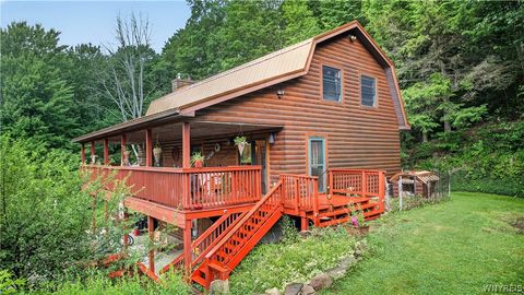 Homes For Sale - 8719 Rohr Hill Road<br/> Cattaraugus County, East Otto, NY 14171