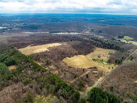 Vacant Land For Sale - 8154 S Canada Hill Road<br/> Cattaraugus County, Machias, NY 14101