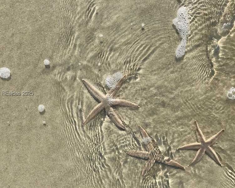 15 Masters Drive, Daufuskie Island, South Carolina image 24