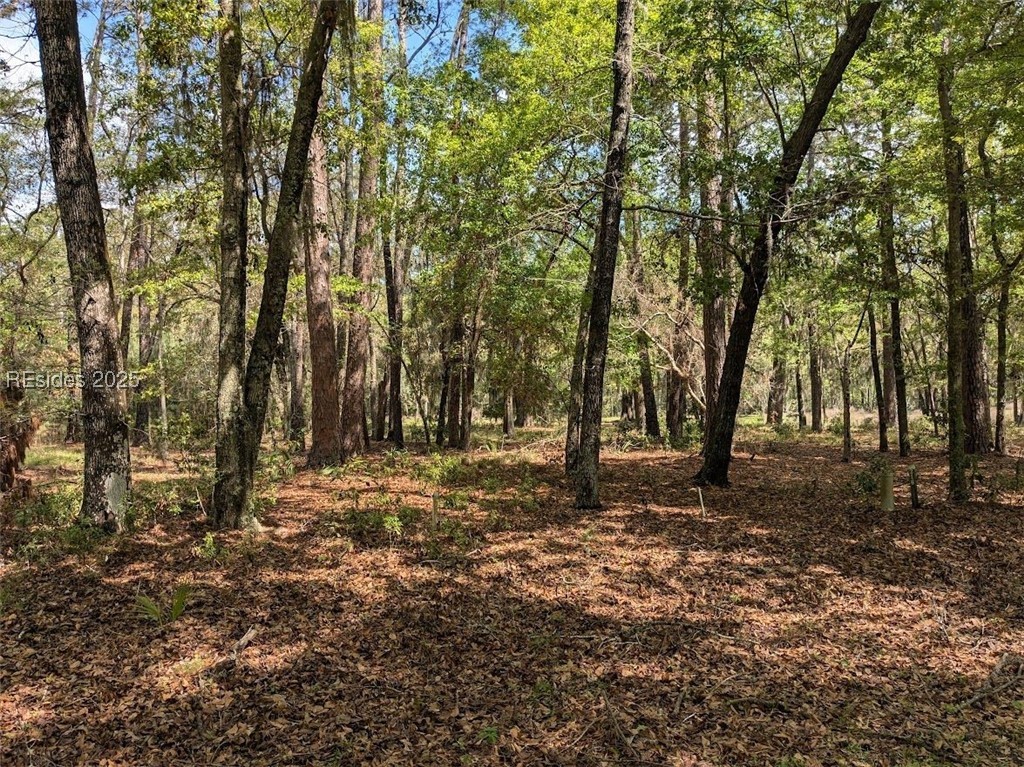 15 Masters Drive, Daufuskie Island, South Carolina image 3