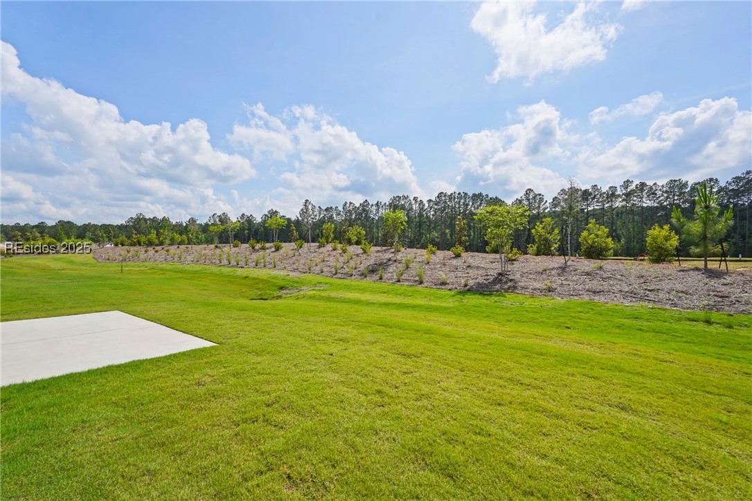 821 Aurora Way, Bluffton, Texas image 29