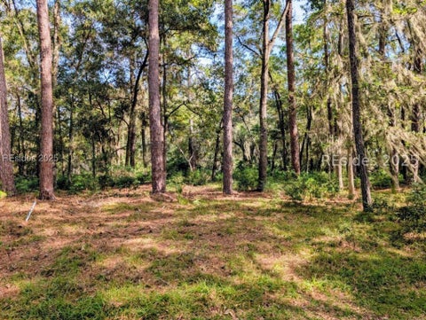 Vacant Land For Sale - 48 Volunteers Ridge<br/> Daufuskie Island, SC 29915