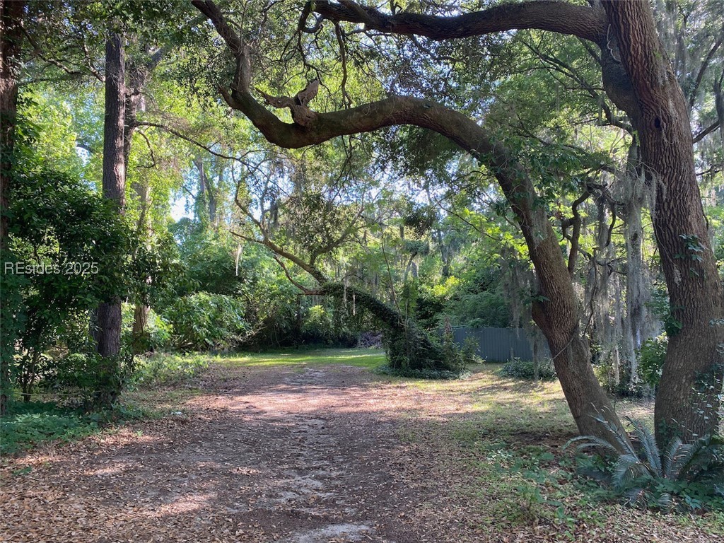 207 Stuart Town Road, Beaufort, South Carolina image 1