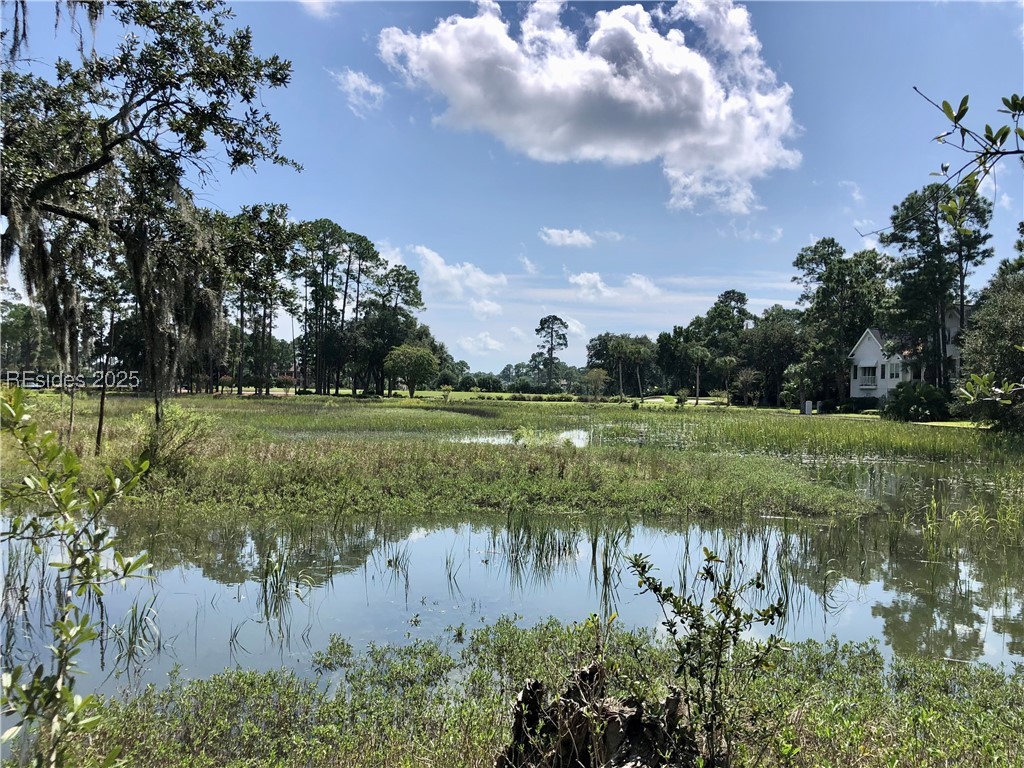 41 Wexford On The Grn Grn, Hilton Head Island, South Carolina image 1