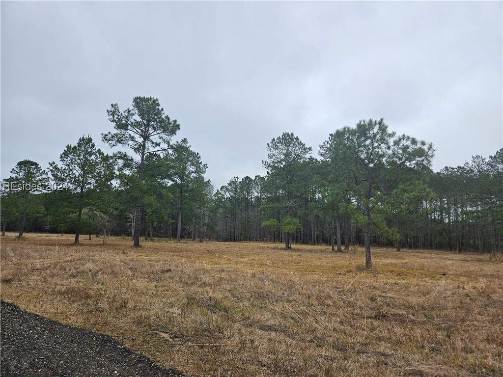 46 Lacy Love Court, Ridgeland, South Carolina image 14