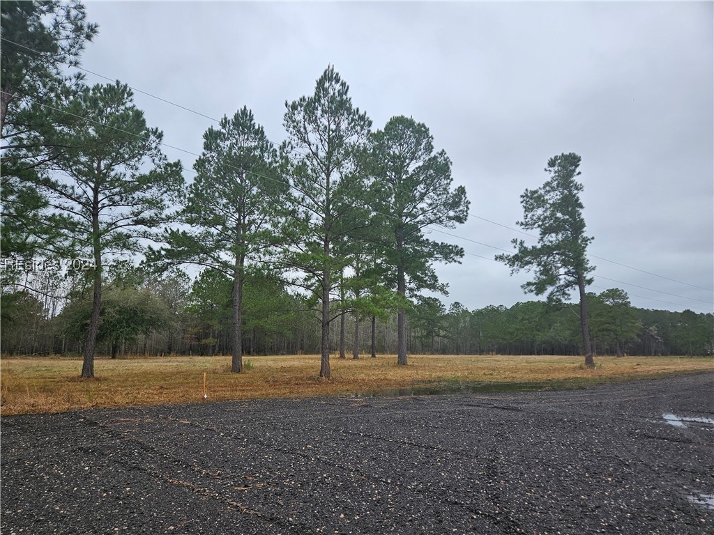 46 Lacy Love Court, Ridgeland, South Carolina image 15
