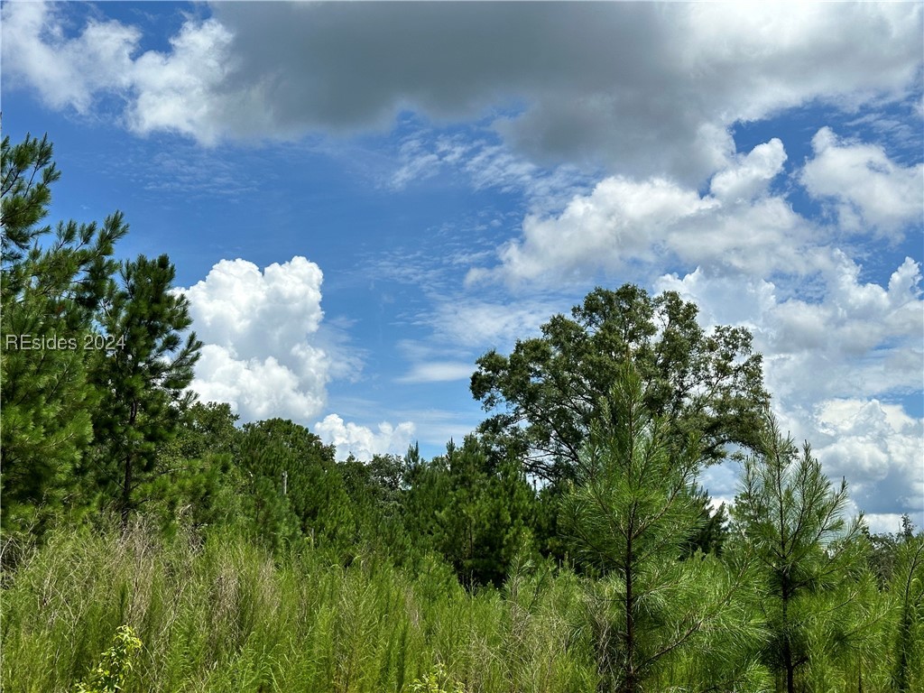 87 Porches Hill Road, Seabrook, South Carolina image 21