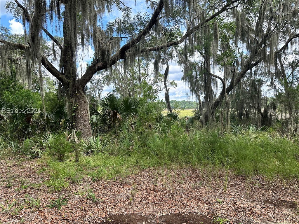 87 Porches Hill Road, Seabrook, South Carolina image 16