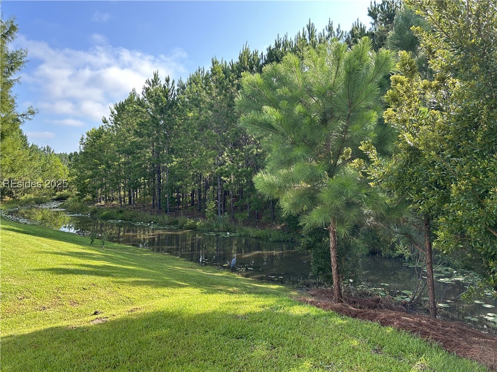 54 Garden Row Drive, Hardeeville, Texas image 34