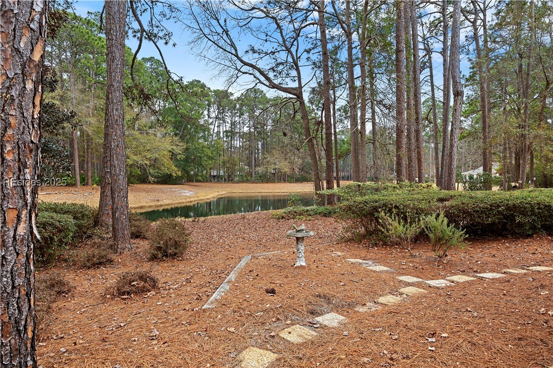 21 Yellow Rail Lane, Hilton Head Island, South Carolina image 48