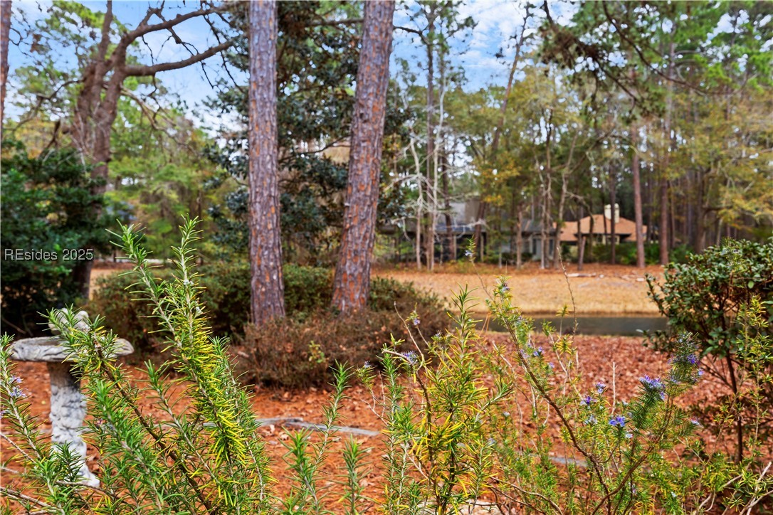 21 Yellow Rail Lane, Hilton Head Island, South Carolina image 49