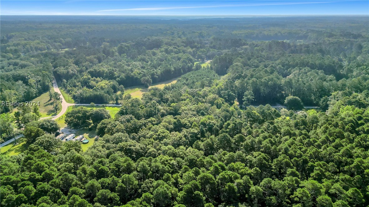 TBD Roper Loop, Hardeeville, South Carolina image 12