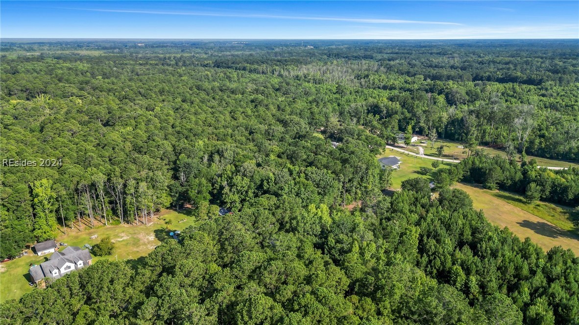 TBD Roper Loop, Hardeeville, South Carolina image 6