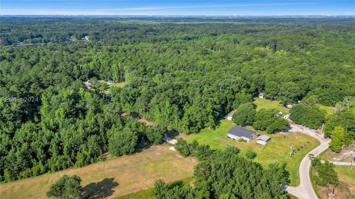 TBD Roper Loop, Hardeeville, South Carolina image 2