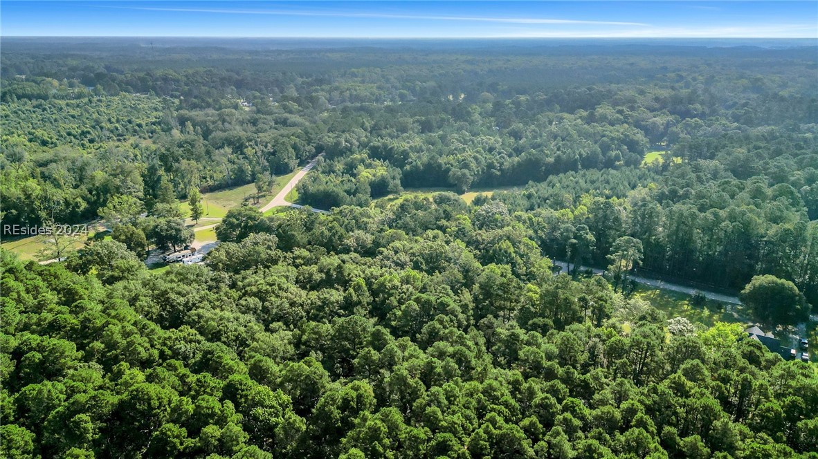 TBD Roper Loop, Hardeeville, South Carolina image 10