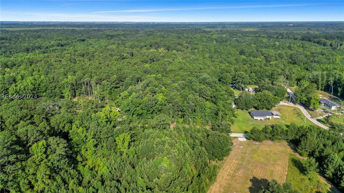 TBD Roper Loop, Hardeeville, South Carolina image 4
