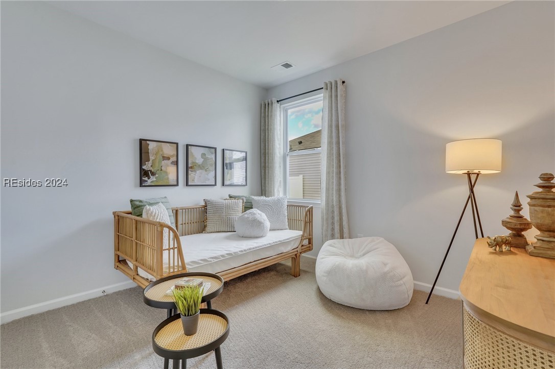 235 Hiatus Court, Ridgeland, South Carolina image 23