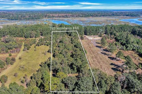 Vacant Land For Sale - 782 Strawberry Hill Road<br/> Jasper County, Ridgeland, SC 29936