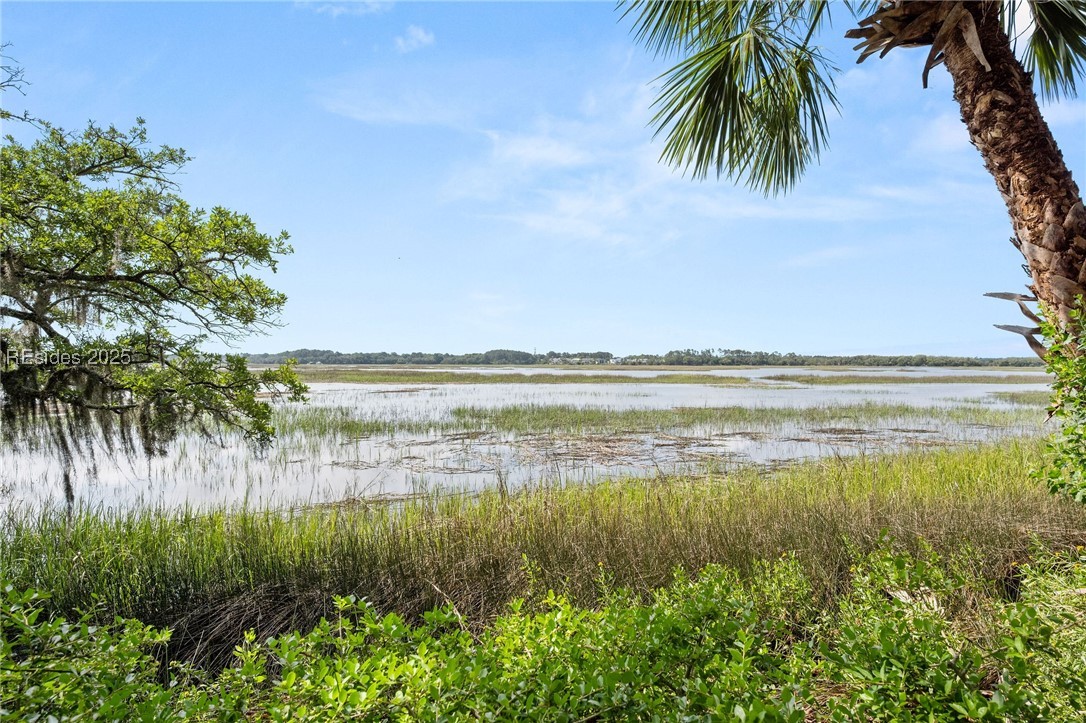 52 Millwright Drive, Hilton Head Island, Texas image 2