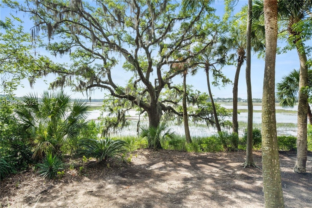 52 Millwright Drive, Hilton Head Island, Texas image 22