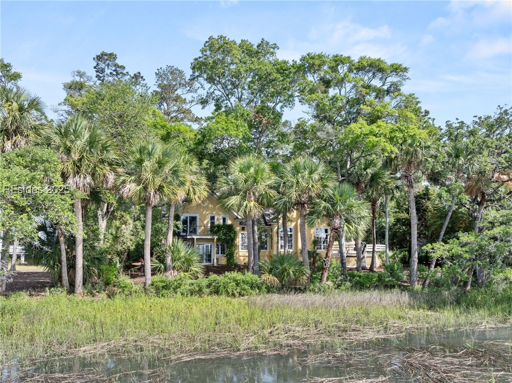 52 Millwright Drive, Hilton Head Island, Texas image 50