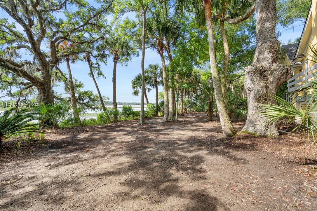 52 Millwright Drive, Hilton Head Island, Texas image 43