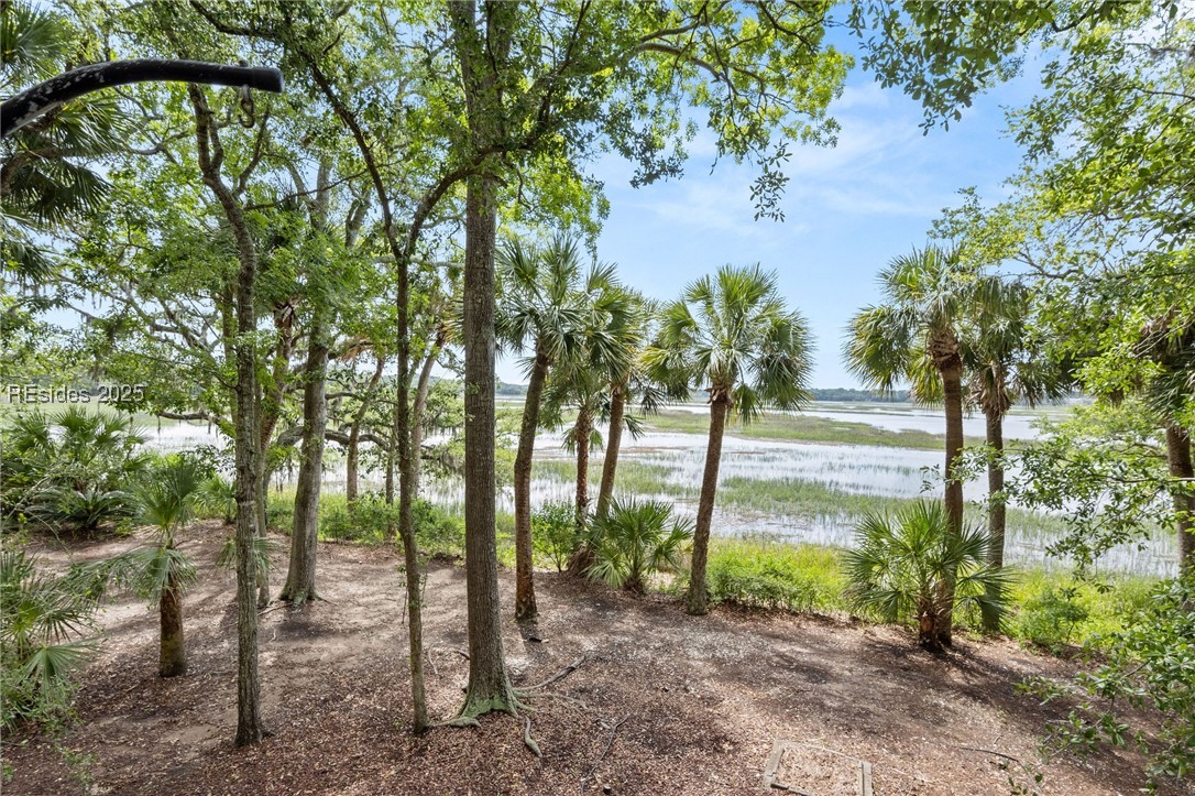 52 Millwright Drive, Hilton Head Island, Texas image 35
