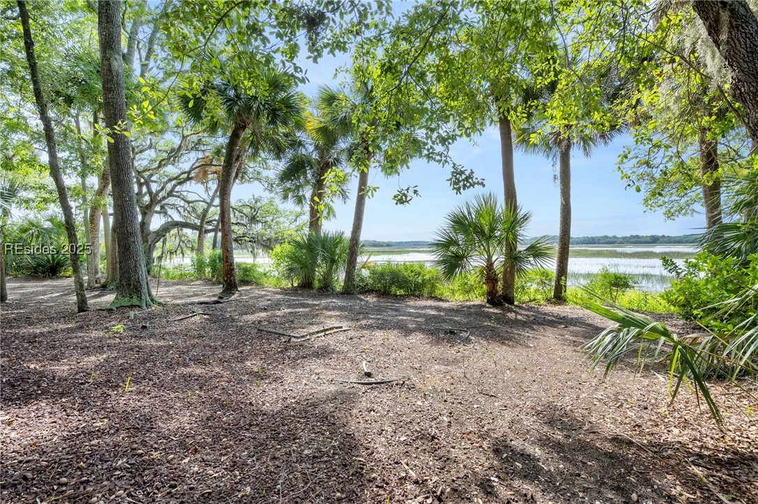 52 Millwright Drive, Hilton Head Island, Texas image 42
