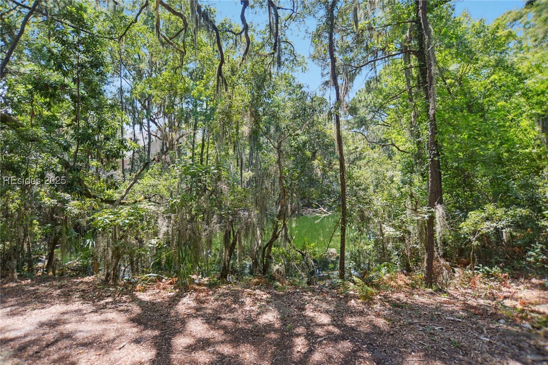 Brittany Place Drive #37, Hilton Head Island, Texas image 20