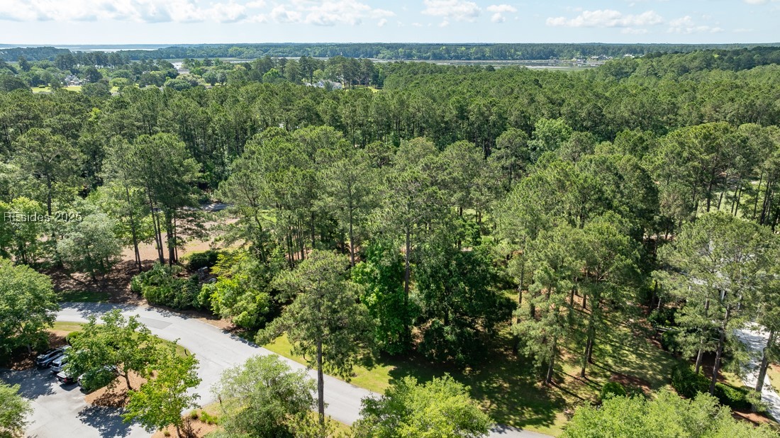 3 Rice Mill Road, Okatie, South Carolina image 7