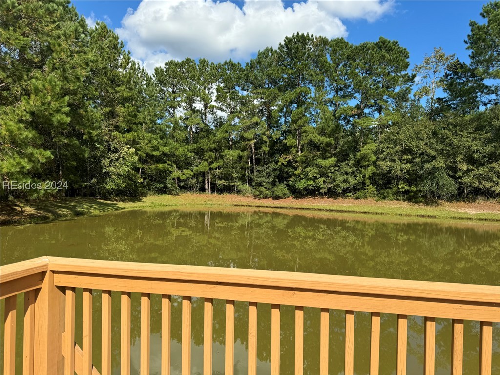88 Okatie Park Circle, Ridgeland, South Carolina image 21