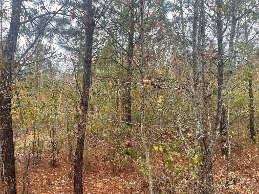 Burnt Pine Rd Road, Ridgeland, South Carolina image 14