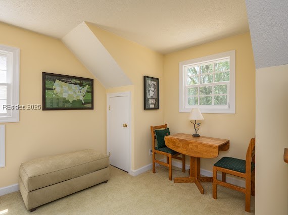 9 Longwood Court, Okatie, South Carolina image 37