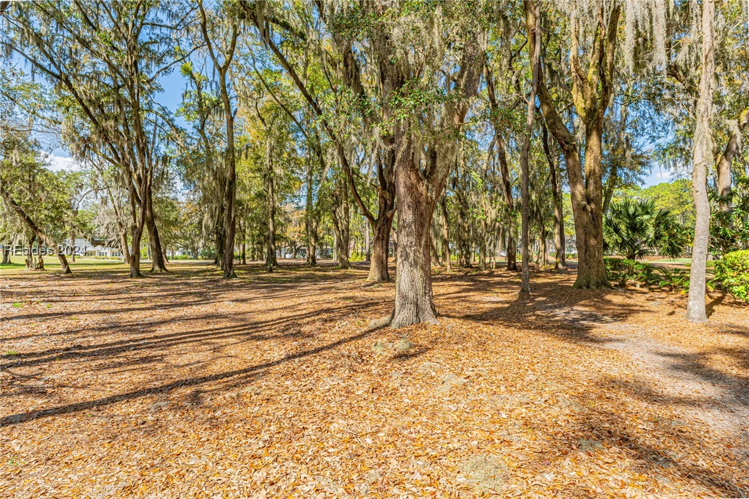 27 Oconee Court, Bluffton, South Carolina image 9