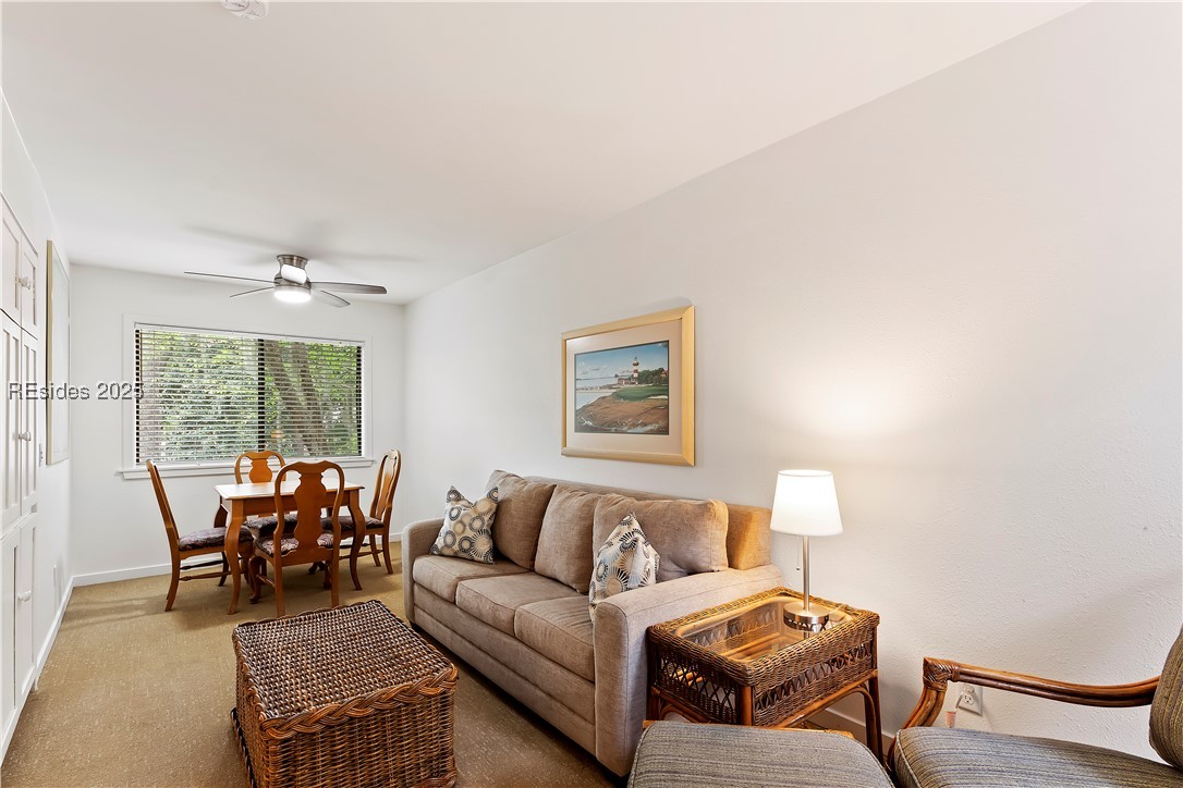 70 Swallowtail Road #2901, Hilton Head Island, Texas image 21