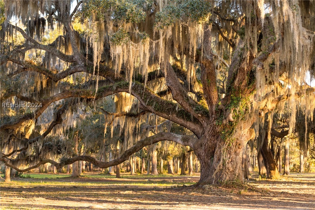 112 Whitehall Drive, Beaufort, South Carolina image 36