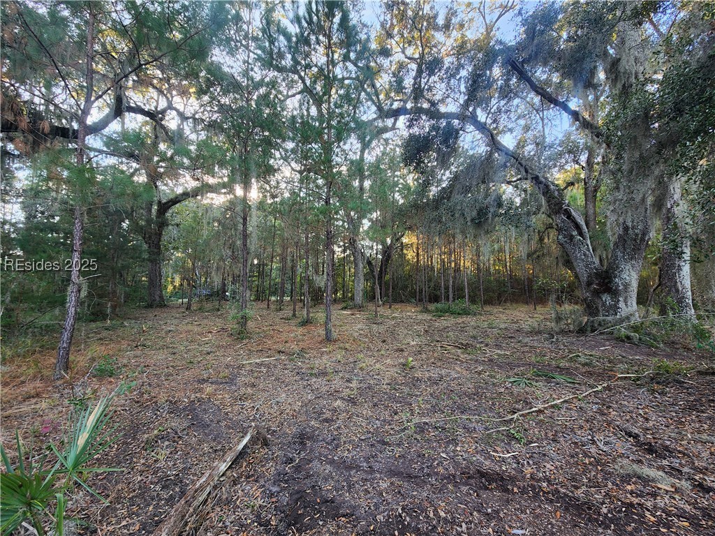 566 Somerset Drive, Yemassee, South Carolina image 6