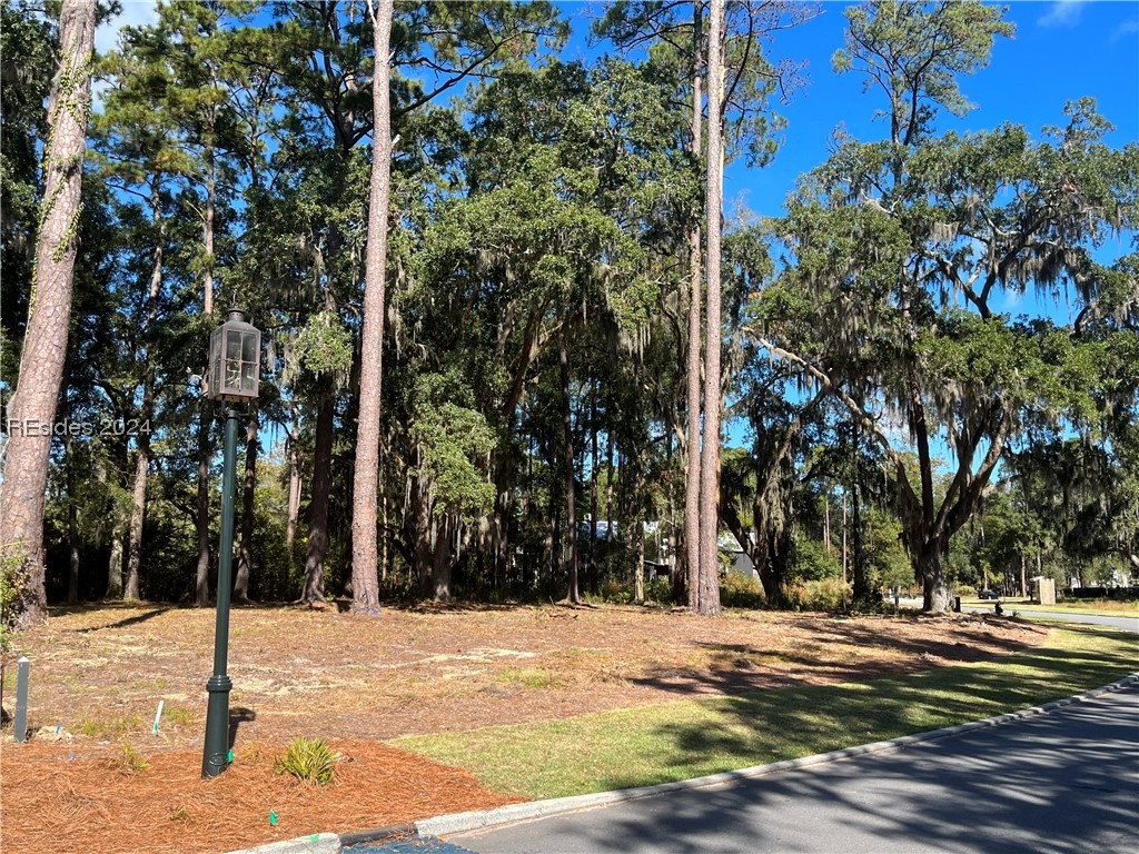 224 Vinson Road, Bluffton, South Carolina image 1