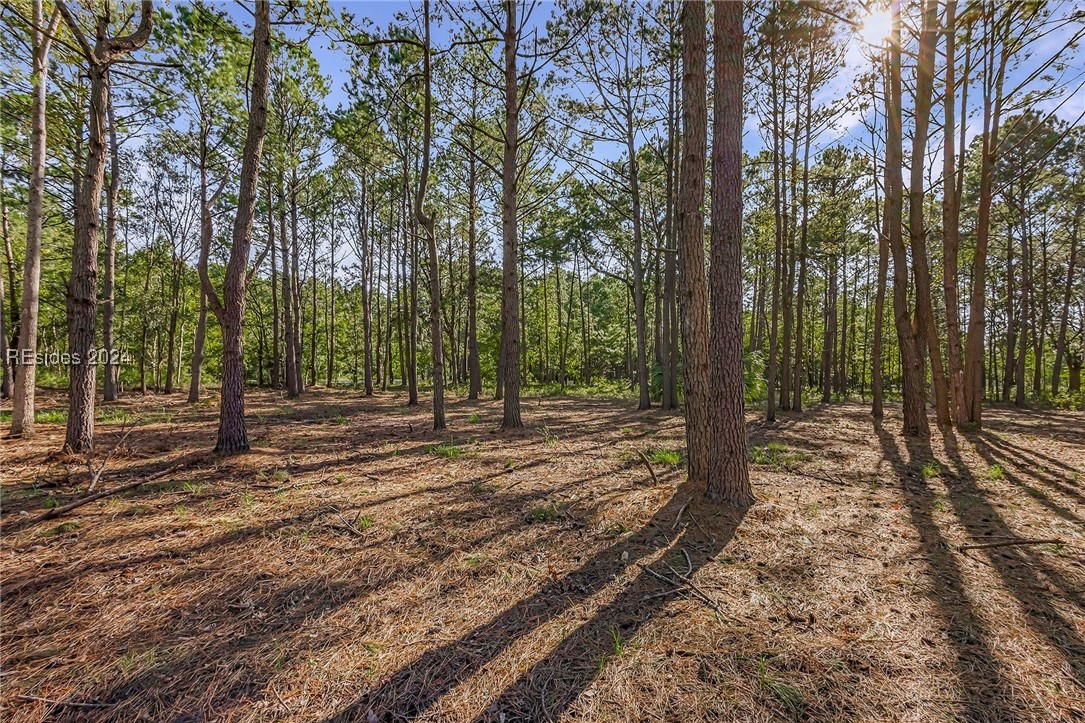 2184 Hunters Loop, Hardeeville, South Carolina image 13