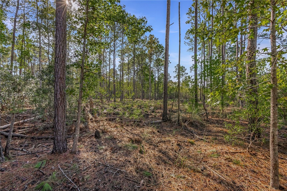 2184 Hunters Loop, Hardeeville, South Carolina image 11