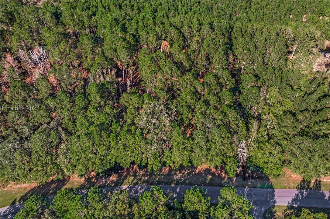 2184 Hunters Loop, Hardeeville, South Carolina image 24