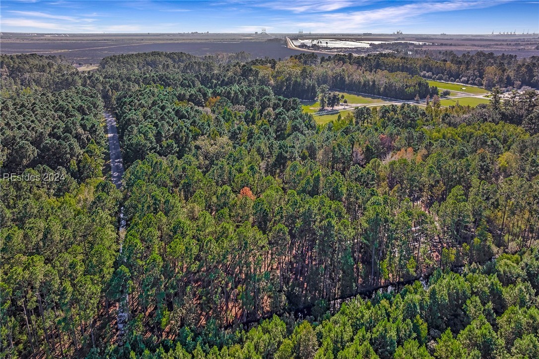 2184 Hunters Loop, Hardeeville, South Carolina image 26