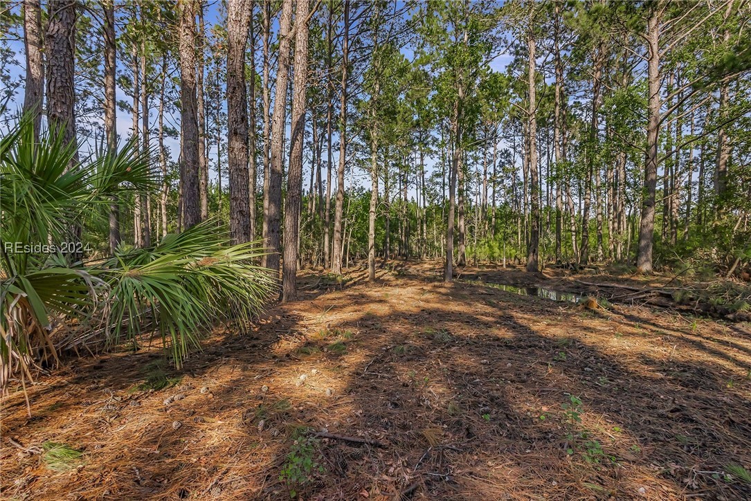 2184 Hunters Loop, Hardeeville, South Carolina image 15