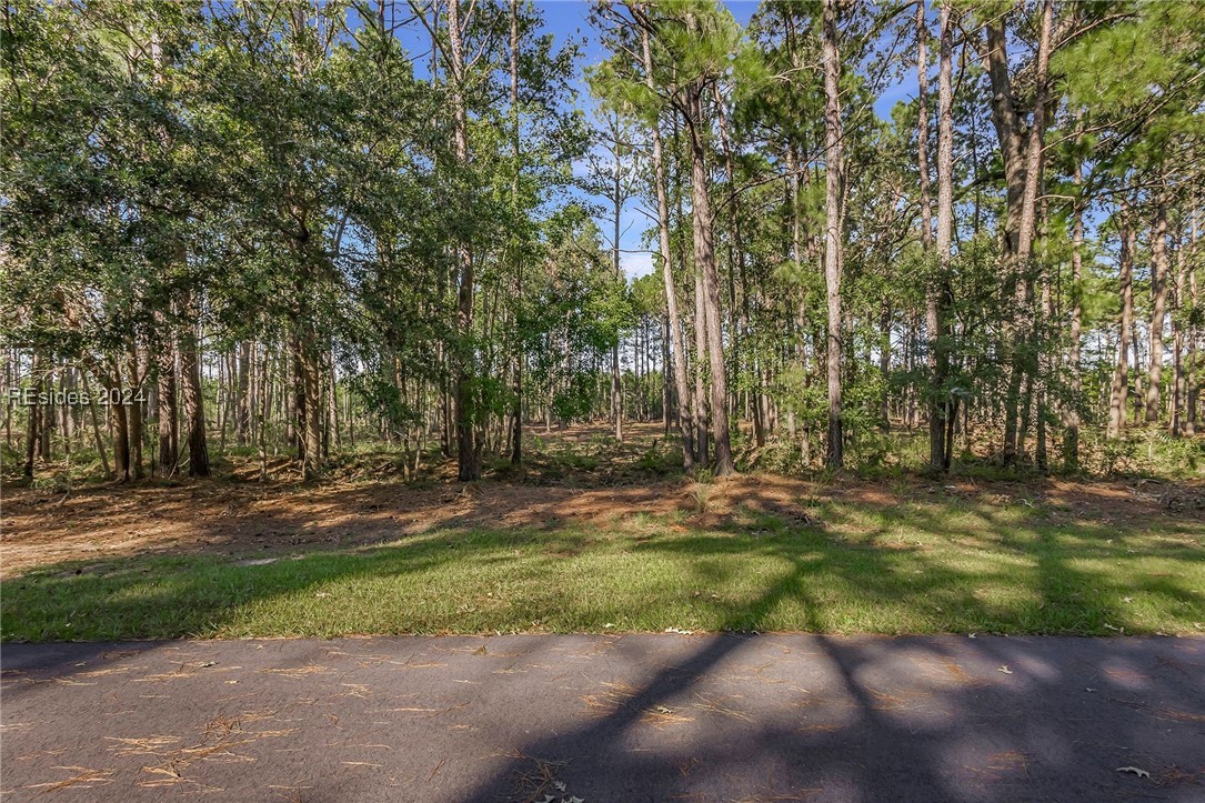 2184 Hunters Loop, Hardeeville, South Carolina image 9