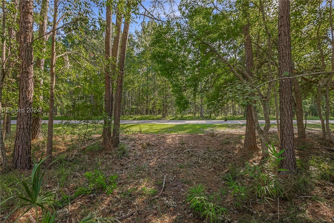 2184 Hunters Loop, Hardeeville, South Carolina image 8