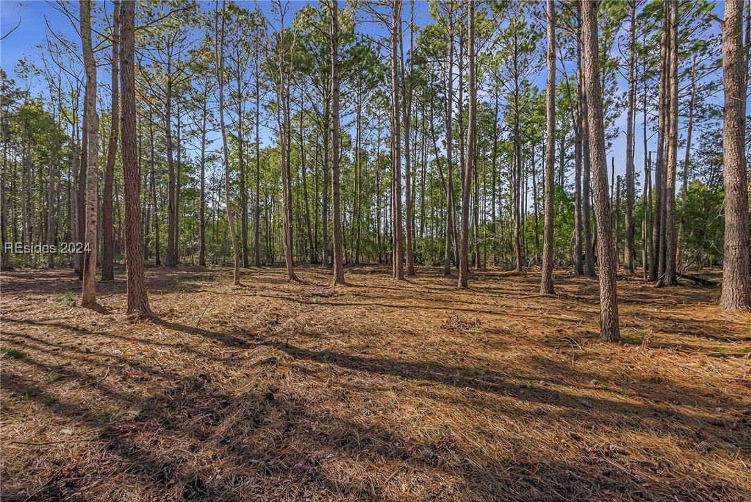 2184 Hunters Loop, Hardeeville, South Carolina image 12