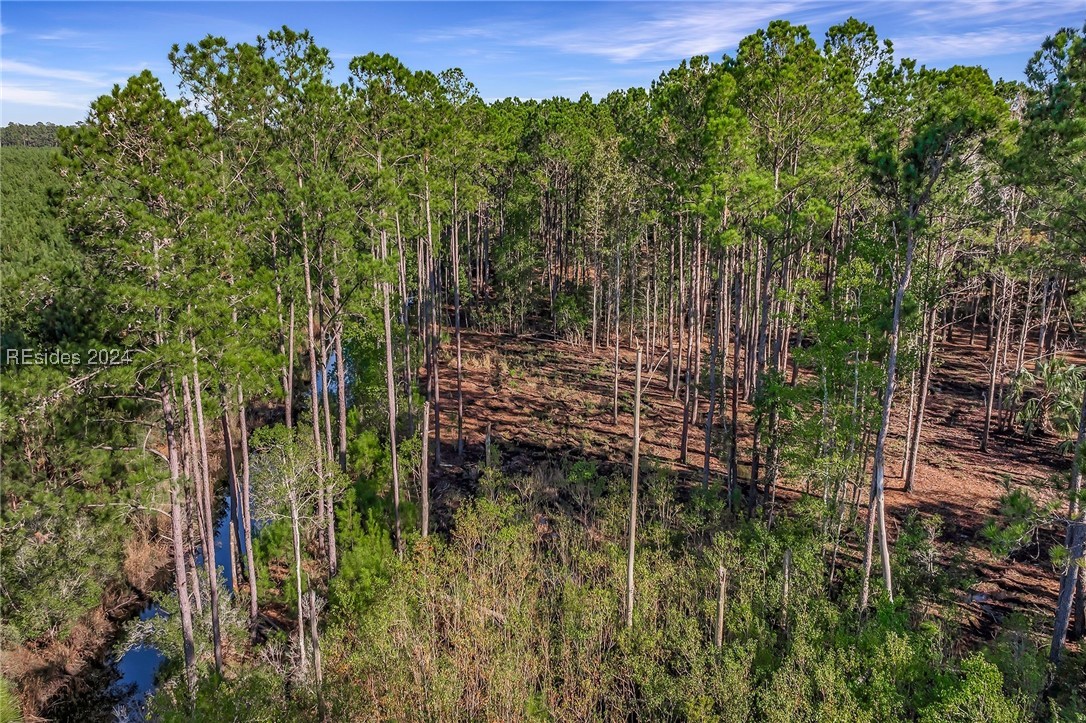 2184 Hunters Loop, Hardeeville, South Carolina image 18