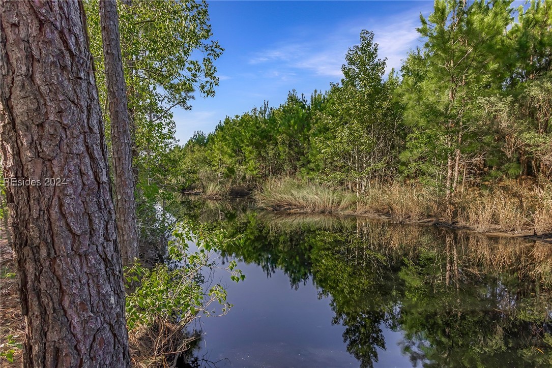 2184 Hunters Loop, Hardeeville, South Carolina image 17