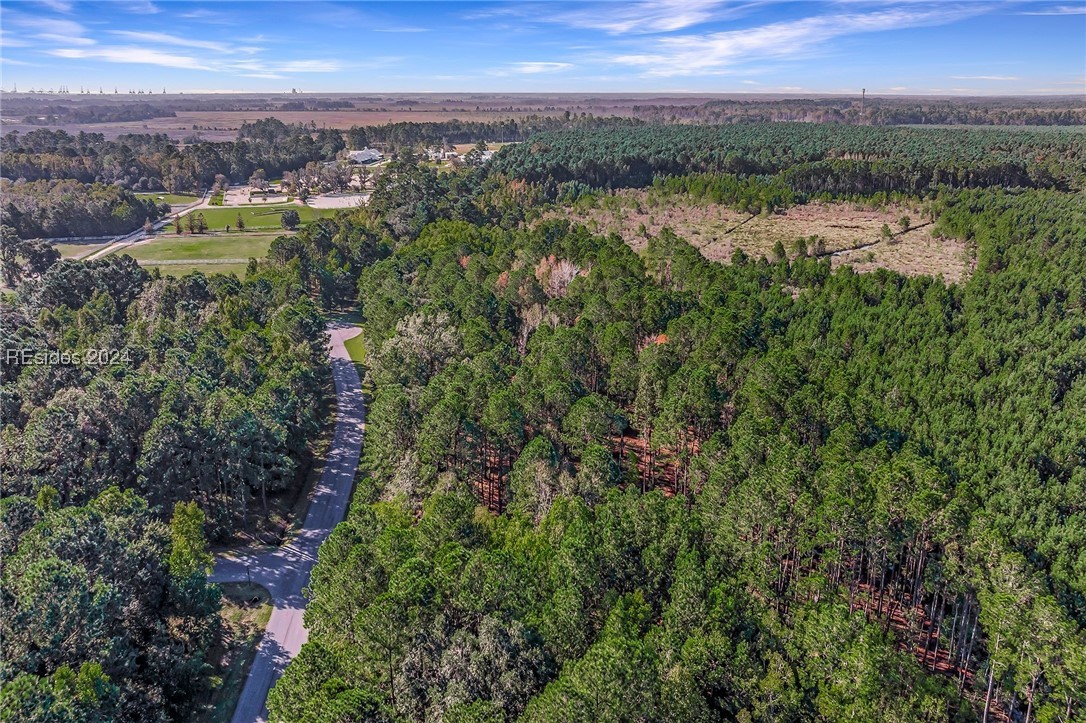 2184 Hunters Loop, Hardeeville, South Carolina image 20